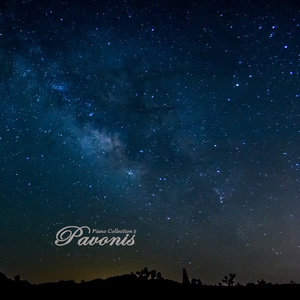 日韩成人黄色网
